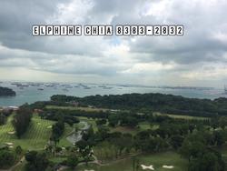 Skyline Residences (D4), Condominium #138003612
